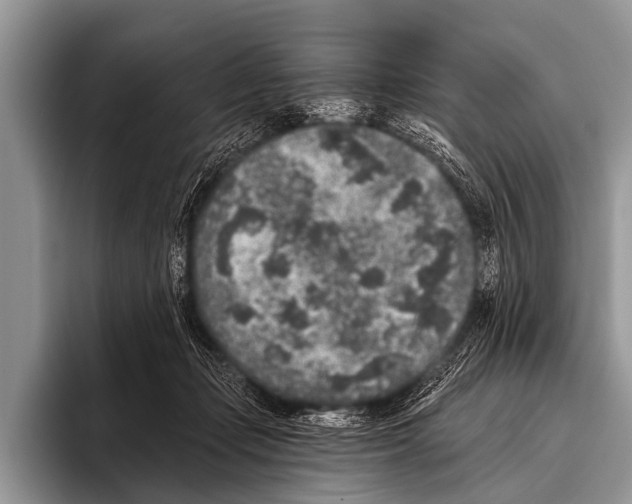 X0000095930365200802081221