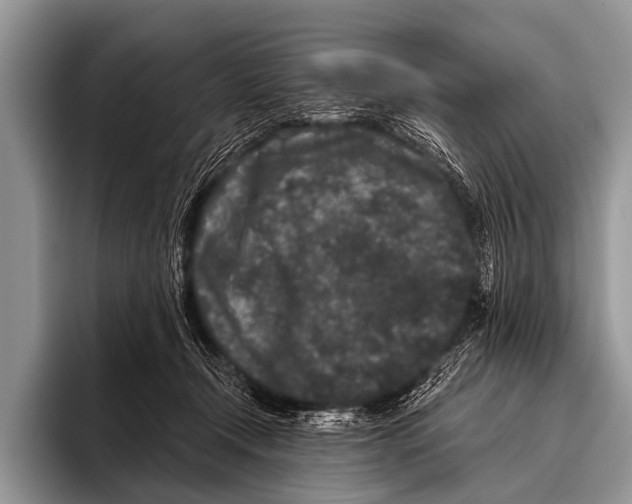 X0000095930366200802081221