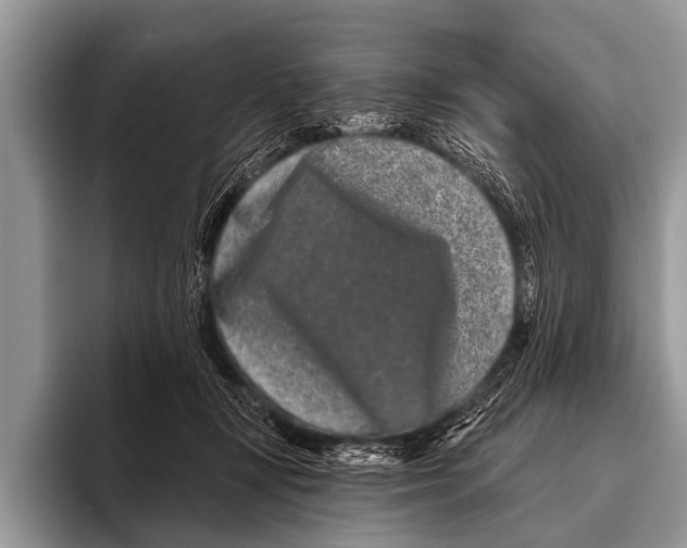 X0000095930367200802081222