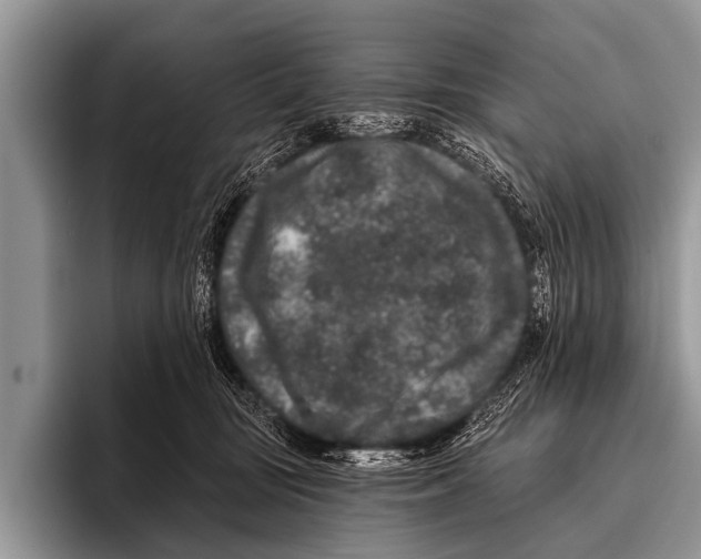 X0000095930371200802081222