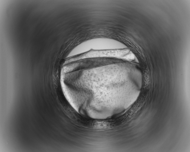 X0000095930376200802081222