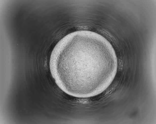 X0000095930377200802081222