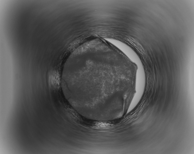 X0000095930380200802081222