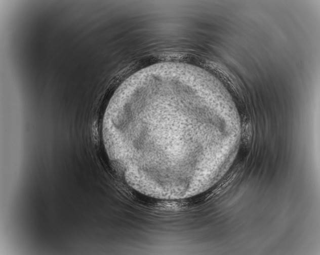 X0000095930381200802081222