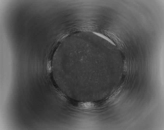 X0000095930383200802081222