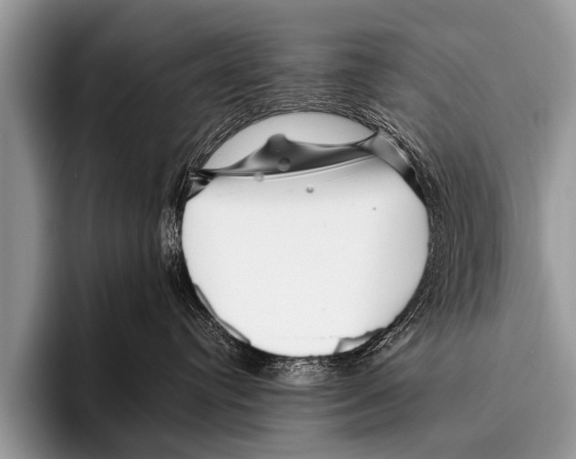 X0000095930384200802081222