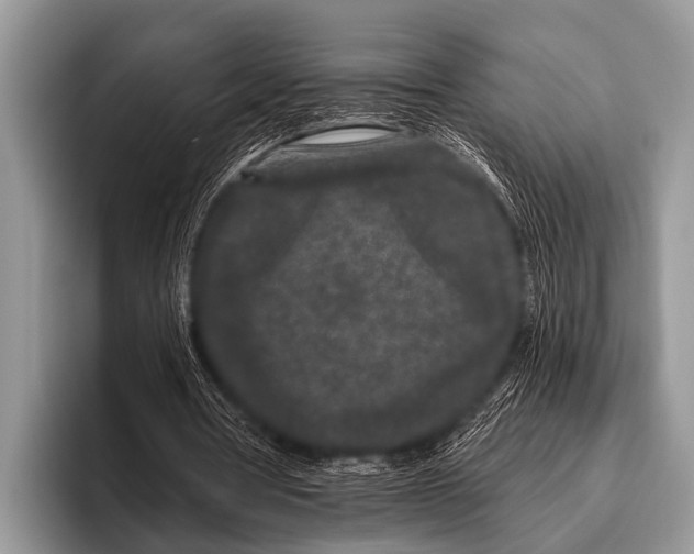 X0000095930386200802081221
