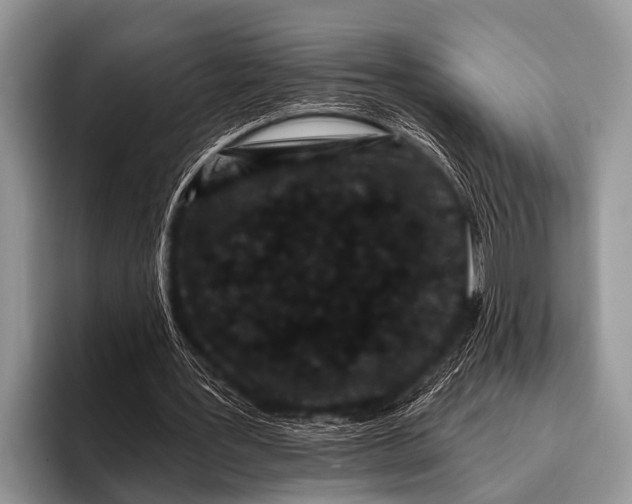 X0000095930387200802081221