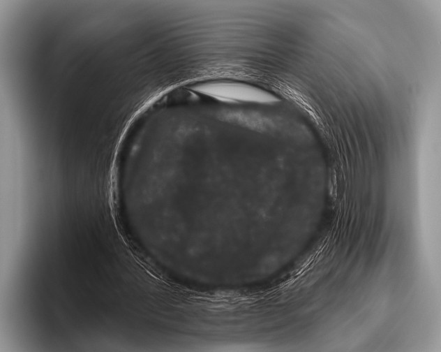 X0000095930388200802081221