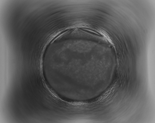 X0000095930389200802081221