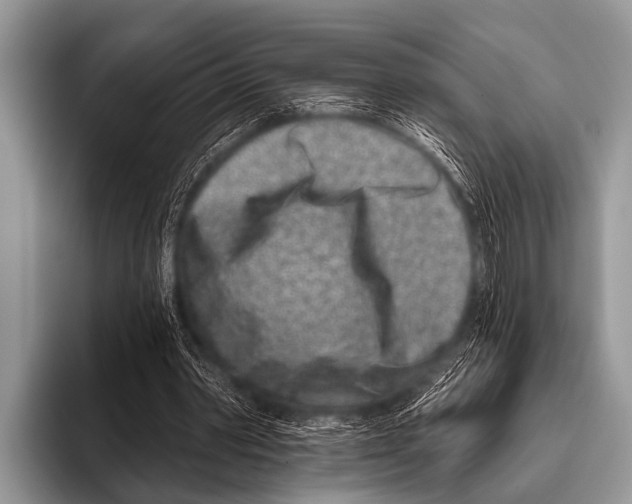 X0000095930390200802081221