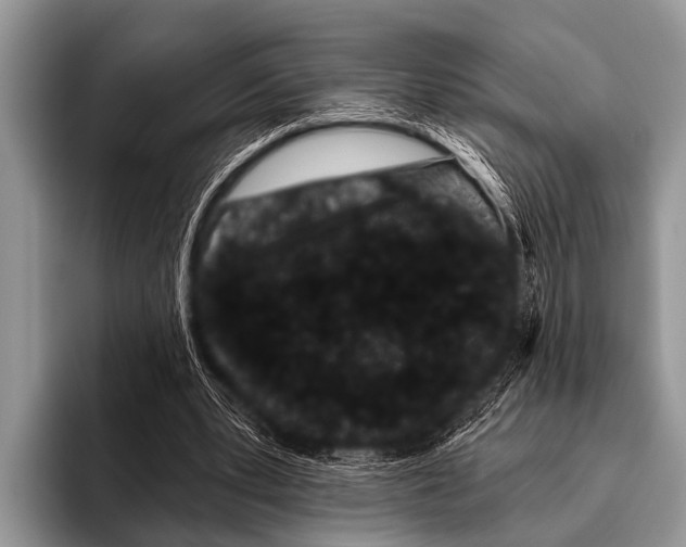 X0000095930391200802081221
