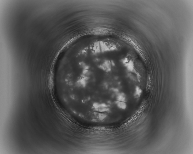 X0000095930392200802081221