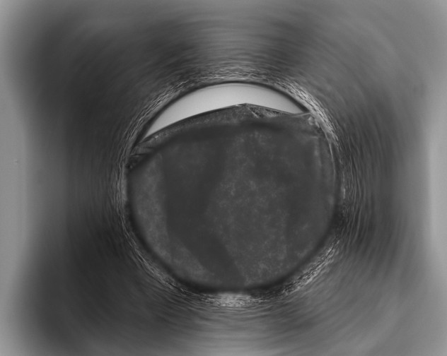 X0000095930393200802081221