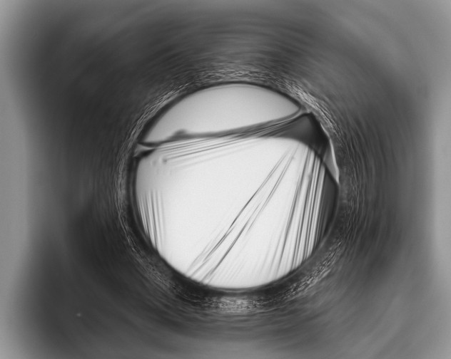 X0000095930394200802081221