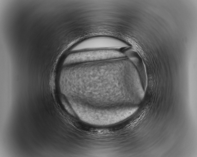 X0000095930395200802081221