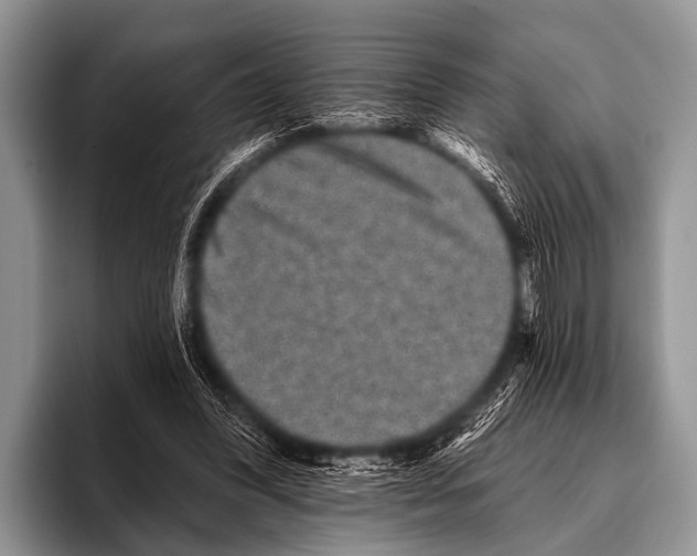 X0000095930396200802081221