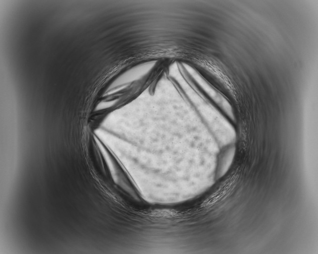 X0000095930397200802081221
