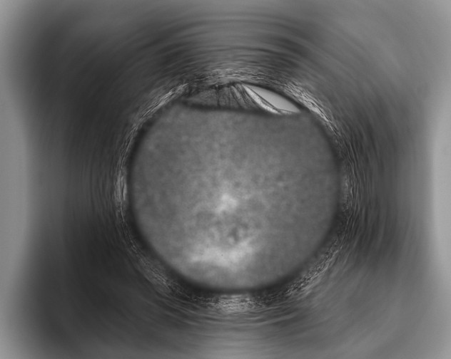 X0000095930398200802081221