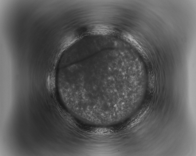 X0000095930399200802081221