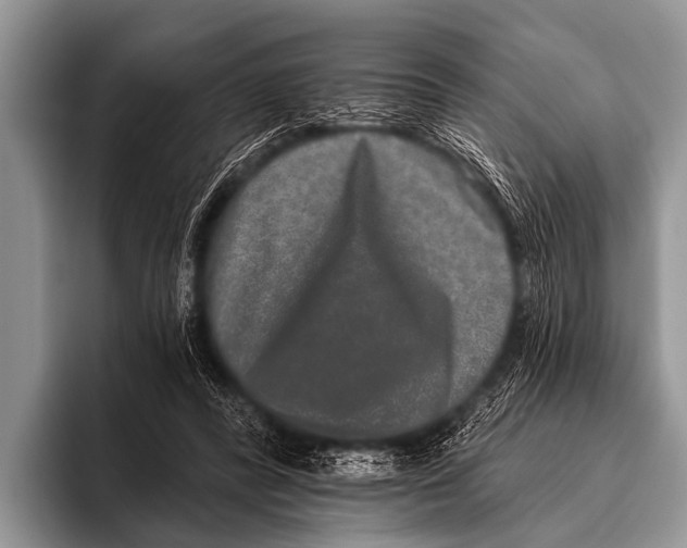 X0000095930400200802081221