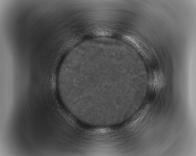 X0000095930402200802081221