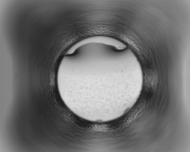 X0000095930403200802081221