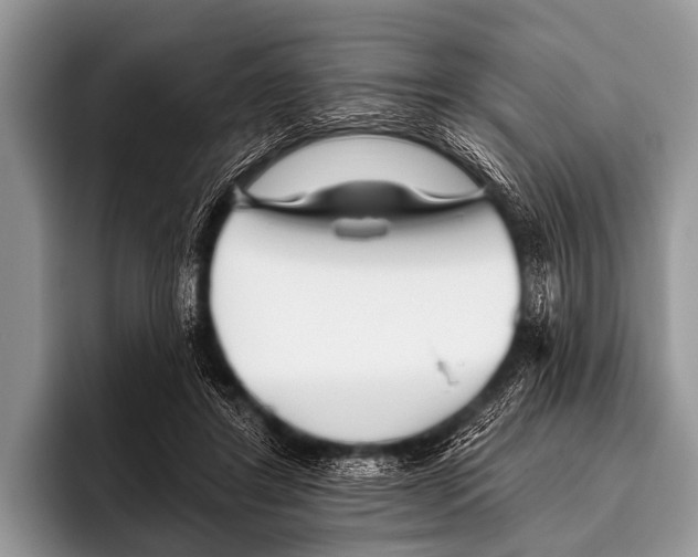 X0000095930404200802081221