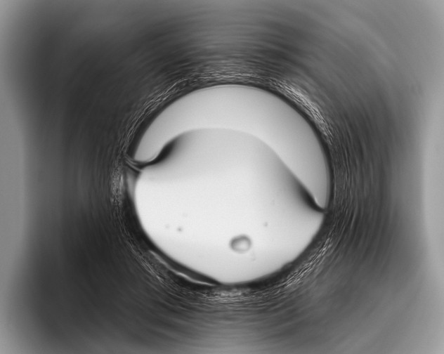 X0000095930405200802081221