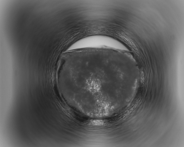 X0000095930409200802081221