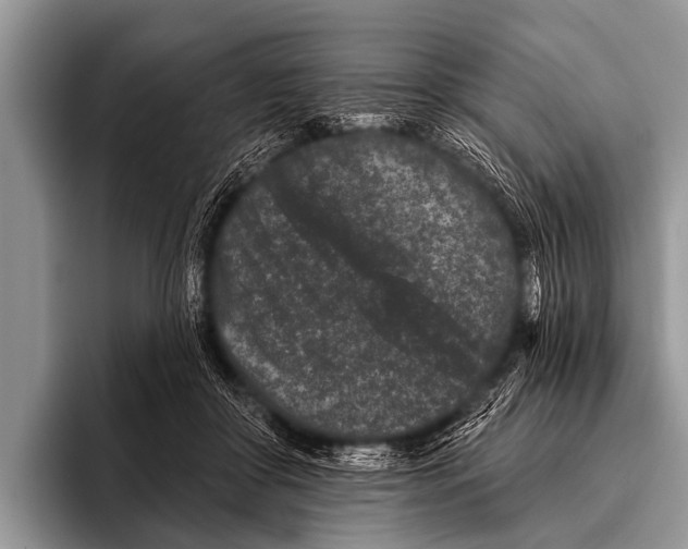 X0000095930410200802081221