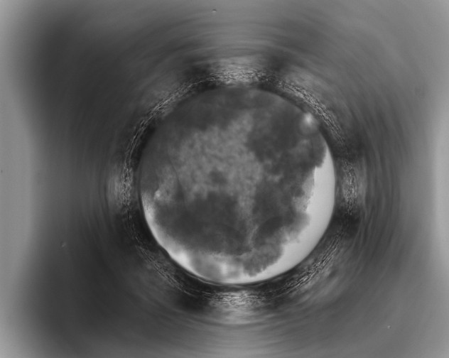 X0000095930411200802081221