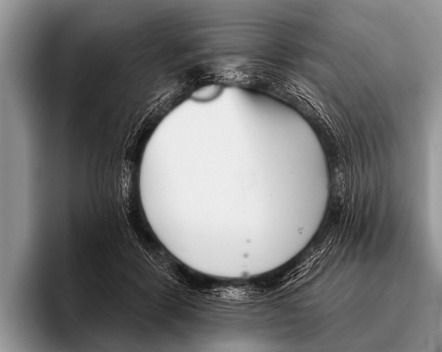X0000095930412200802081221