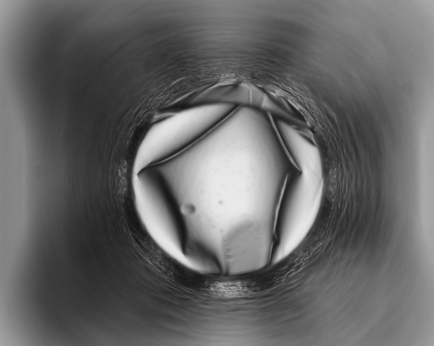 X0000095930413200802081221