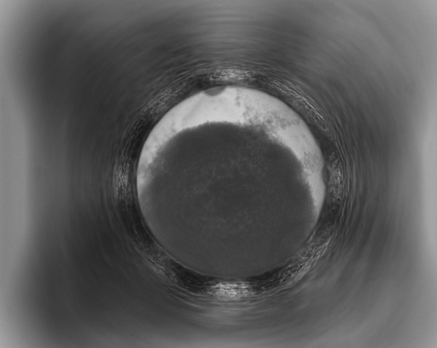 X0000095930415200802081221