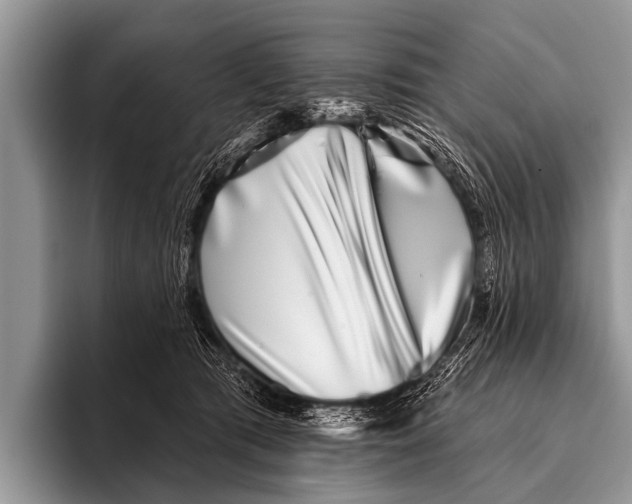 X0000095930417200802081220