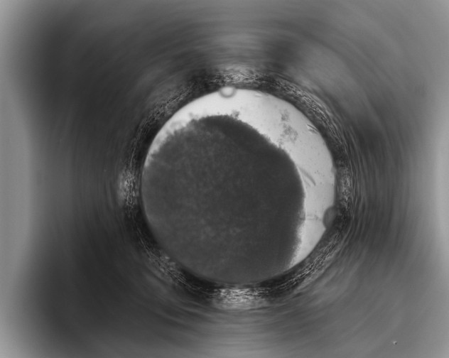 X0000095930419200802081220