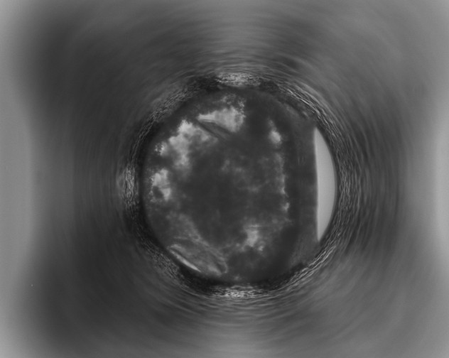 X0000095930420200802081220