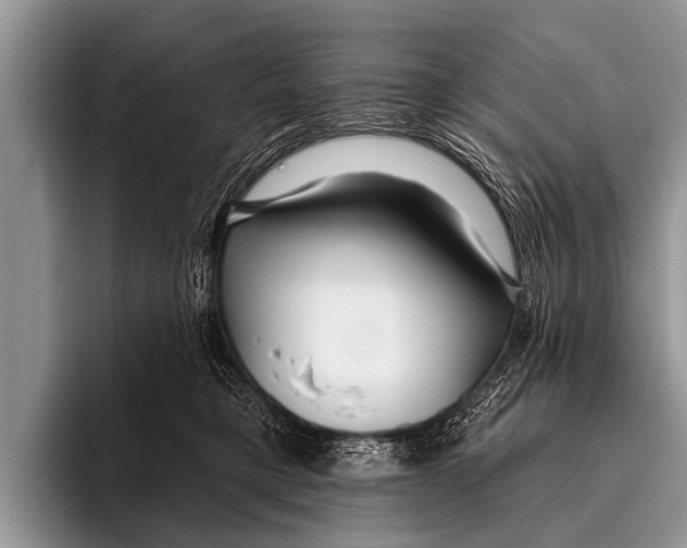 X0000095930421200802081220