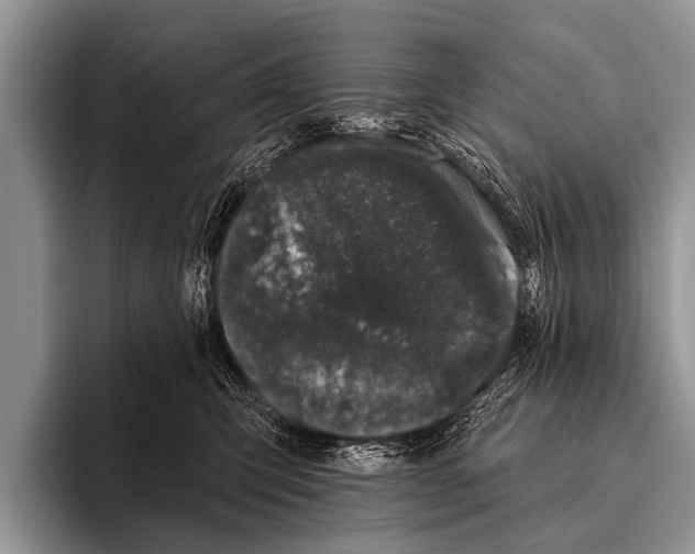 X0000095930423200802081220