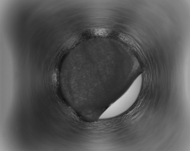 X0000095930424200802081220