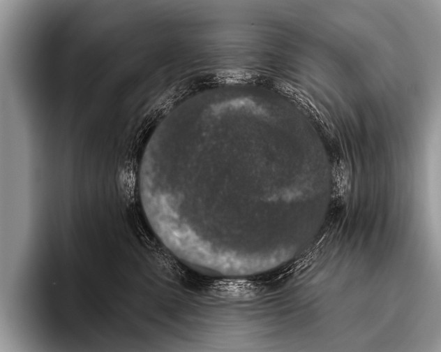X0000095930427200802081220