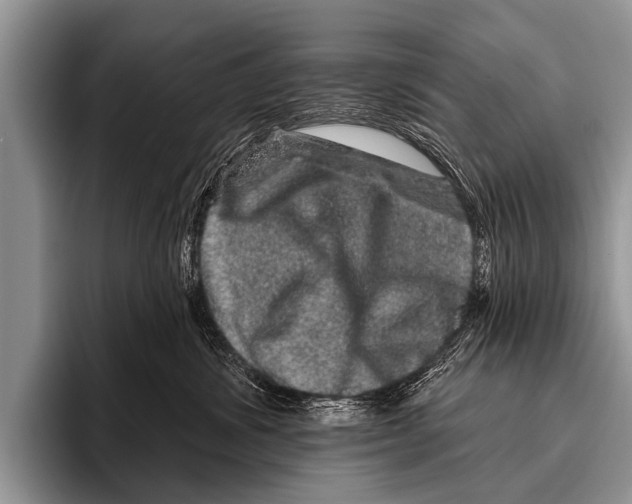 X0000095930428200802081220