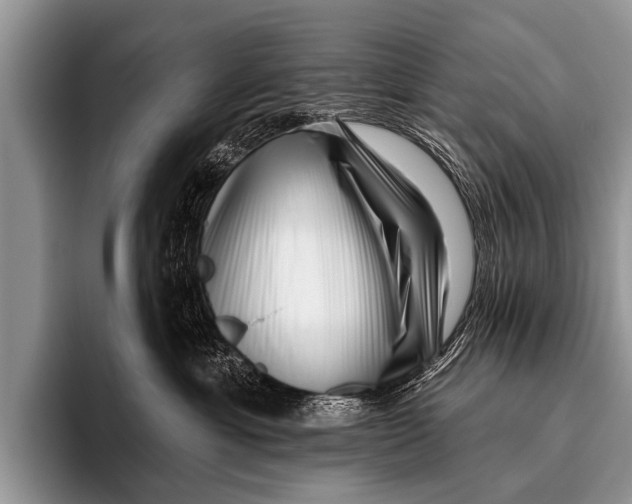 X0000095930429200802081220