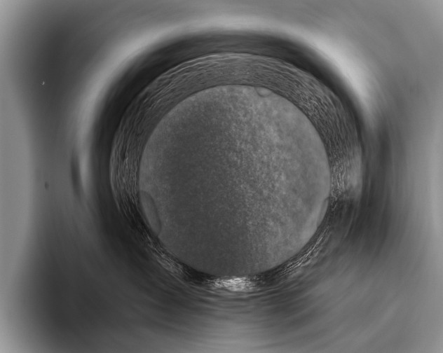 X0000095930431200802081220