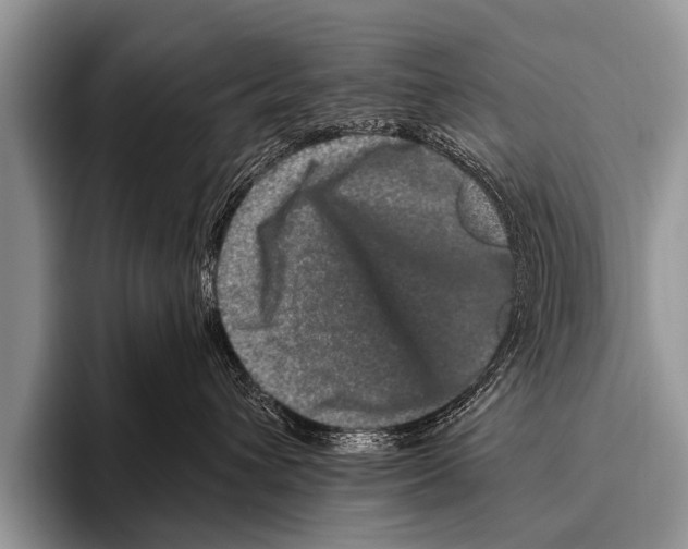 X0000095930432200802081220