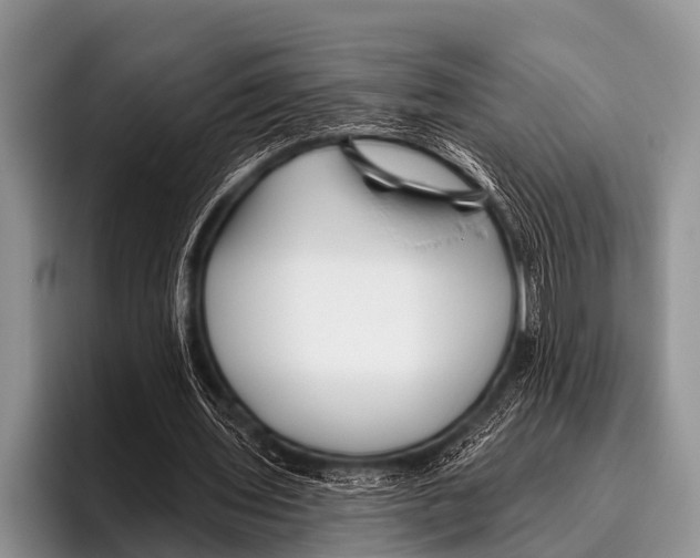 X0000095930435200802081220