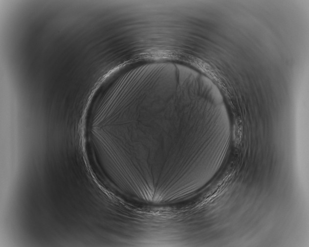 X0000095930438200802081220