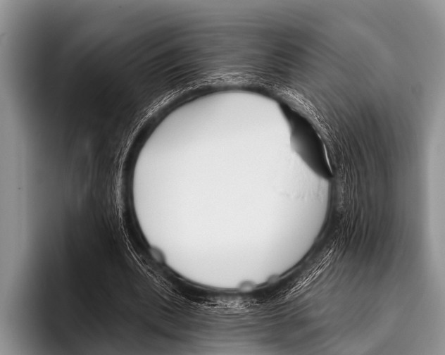 X0000095930439200802081220
