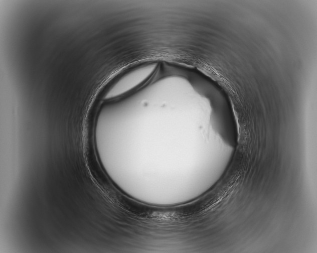 X0000095930440200802081220